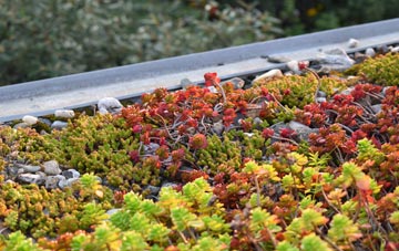 the cost of Ballygowan green roof installation