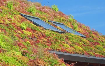 Ballygowan living roof systems
