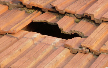 roof repair Ballygowan, Ards