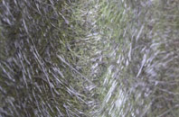 Ballygowan fibreglass roof work